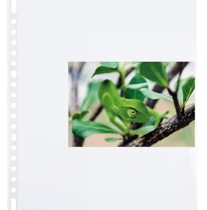 Fotoshowtas Multo A4 23r PP 10x15cm 3 vaks verpakking a 10 stuks